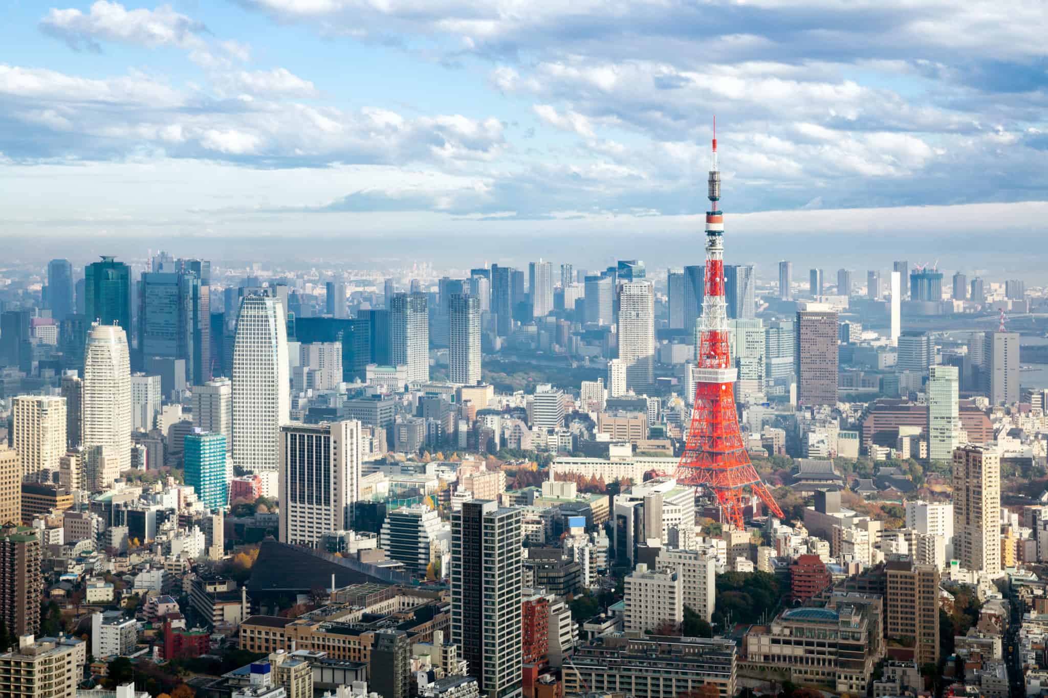 実践と交流の場、「東フリサロン」について