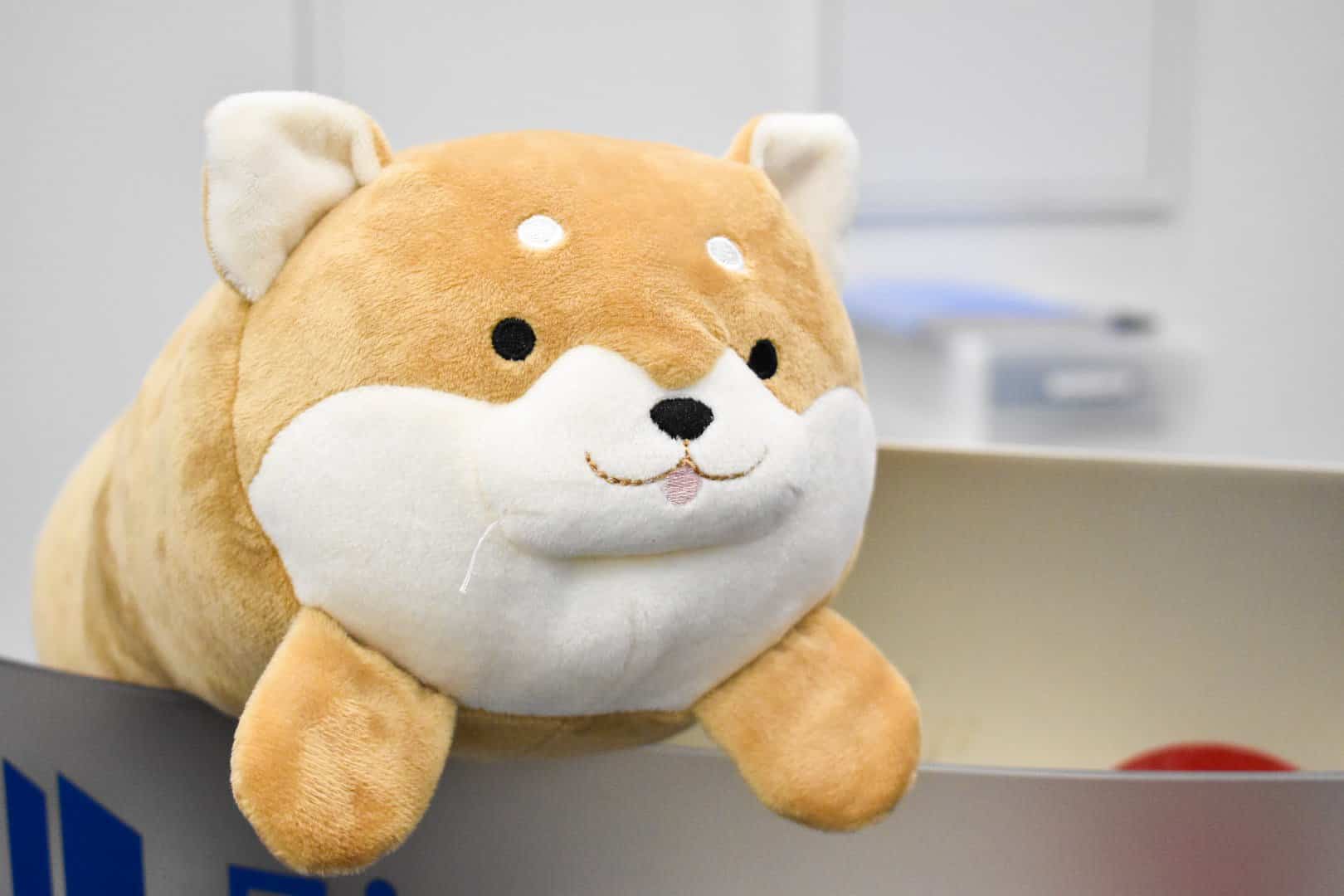 オフレコ話盛りだくさんだった！？東フリトークショー「SNSでは語れない、これからのフリーランスのキャリアハック」公式レポート！