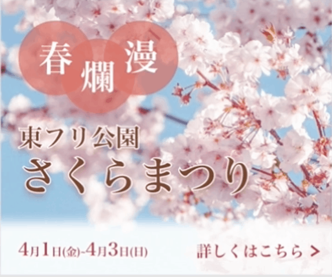Webデザイン学習ロードマップ！Webデザインの仕事をするのに必要なスキルとは？